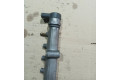 Vstřikovací lišta 30777554, 005853L5   Volvo S80    D5244T4 