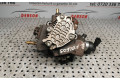 Vstřikovací čerpadlo 8200690744, 0445010170   Renault Koleos I     
