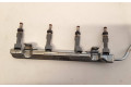 Vstřikovač 232500T110, 263072209   Toyota C-HR I     
