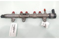 Vstřikovací lišta 851415402   BMW 1 F20 F21    B47D20A 