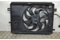 Вентилятор радиатора     9806313880, 502071909    Peugeot Expert 