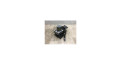 Jednotka ABS 2Q0614517AGBEF, 2Q0614517AGBEF   Volkswagen Polo VI 2019