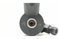 Форсунка 0445110270, 96440397    Chevrolet Captiva для дизельного двигателя  2