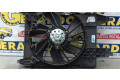 Комплект вентиляторов     8200680824A, 8200680824A    Renault Megane II 