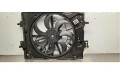 Комплект вентиляторов     214814625R    Renault Arkana 