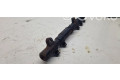 Топливная рампа A6650700295, R9145Z010B   SsangYong Rexton  