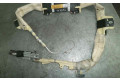 Подушка безопасности двери P04649127AF, TCORV260421081   Chrysler 300M