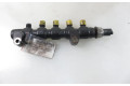 Топливная рампа 9655465480, 9654592680   Peugeot Partner   для двигателя 9HS (DV6TED4BU)