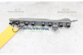 Vstřikovací lišta 175205RF0A, 175205RF0A   Renault Arkana    H4M-632(H4M-C6) 