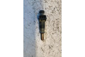Форсунка 7506158, 7506158    BMW Z4 E85 E86   