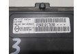 Přístrojová deska  Renault Kangoo I  P248101769R  