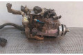 Vstřikovací čerpadlo R8444B953B, BOMBAINYECCION   Volkswagen Polo     