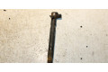 Форсунка 25183186, 28264951    Chevrolet Captiva для дизельного двигателя Z22D1 2.2
