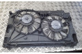 Вентилятор радиатора     1002221377    Toyota Prius (XW30) 