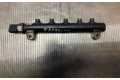 Vstřikovací lišta 96868901, 11020517544   Opel Antara     