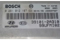 Řídící jednotka 391012A310, 0281012107   Hyundai Matrix 2005