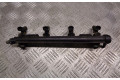 Топливная рампа 036133319BN   Seat Ibiza III (6L)  