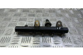 Vstřikovací lišta 175210651R, 160040145   Renault Megane III     