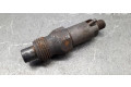 Форсунка lcr6733401d    Peugeot Expert   
