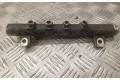 Топливная рампа 0445214122, 013817   Opel Meriva A  