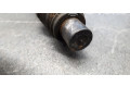 Форсунка lcr6733401d    Peugeot Expert   