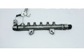 Vstřikovací lišta 8945820052, 655004D22   Toyota Land Cruiser (J150)     