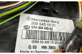   Pojistková skříňka 2095451001   Mercedes-Benz C W203 1999