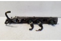 Vstřikovací lišta 025724   Renault Megane I     