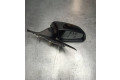 Zpětné zrcátko  BMW 1 F20 F21 2015  7242702  