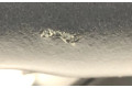 Zpětné zrcátko  Mini Cooper Countryman F60 2020  6874599  