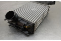 Интеркулер  144962803R, T59325B   Renault Kadjar 