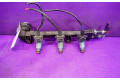 Топливная рампа 0003096V005, 0003096V005   Smart ForTwo I  