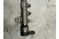Vstřikovací lišta 851162903   BMW 1 F20 F21     