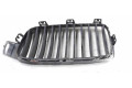 Решётка в плоскости крышки BMW M3  19297610, 107063315      