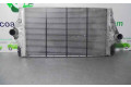 Интеркулер  8200075810C, B3988   Renault Espace -  Grand espace IV 