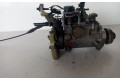 Vstřikovací čerpadlo 8448B252A, 8448B252A   Ford Mondeo MK II    RFN 