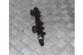 Топливная рампа 9685297580   Citroen C3 1.6 