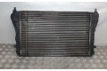 Интеркулер  3C0145805AM, DELPHI   Volkswagen Tiguan 
