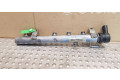 Vstřikovací lišta A6420700495   Mercedes-Benz R W251     