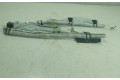 Подушка безопасности двери 1880155, ET76R042D94AG   Ford Tourneo