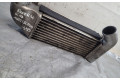 Интеркулер  PCC107370   Rover 45 