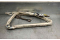 Подушка безопасности двери 6M2114K158CD   Ford S-MAX
