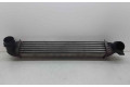 Интеркулер  1751850690402   Mini Cooper Countryman R60 