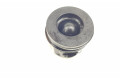 Píst PISTON306DT, 306DT   Land Rover Range Rover Sport L494     