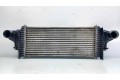 Интеркулер  A1645001900, A2515000000   Mercedes-Benz ML W164 3.0