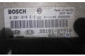 Řídící jednotka 3910127510, 028010619   Hyundai Accent 2002