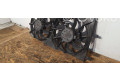 Вентилятор радиатора     0130307020, 214810004R    Renault Laguna III 