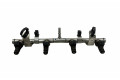 Комплект форсунок 55259564, DK0120235    Jeep Renegade  EHJ 