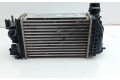 Интеркулер  144615FA0B   Nissan Micra K14 