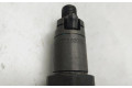 Форсунка LCR6735201D    Peugeot Expert   